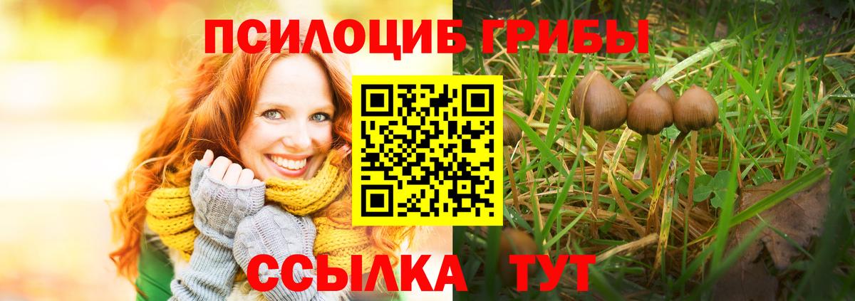Псилоцибиновые грибы прущие грибы  Вход с VPN  как найти   Мегион 