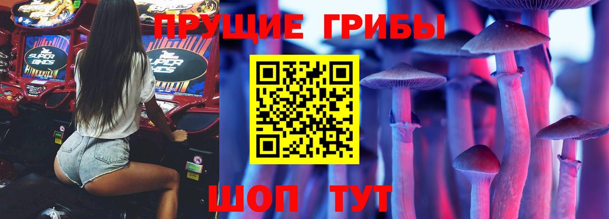 Псилоцибиновые грибы ЛСД Мегион